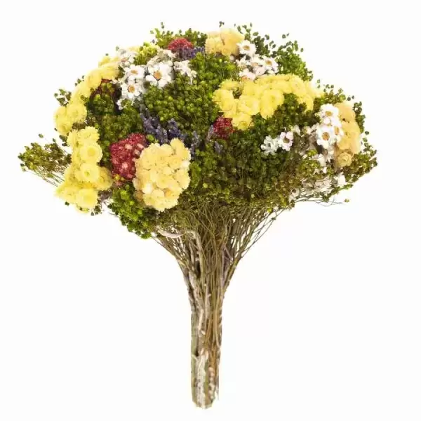 Стабилизированный букет Соло