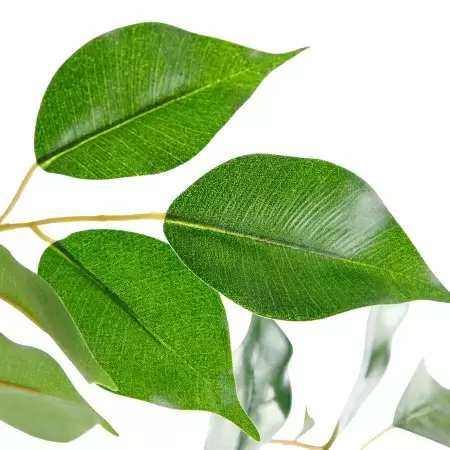 Фикус искусственный