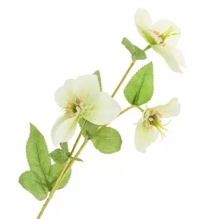 Морозник искусственный