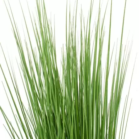 Речная искусственная трава 