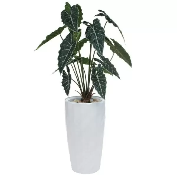 Искусственное растение Алоказия в горшке Vase Rib