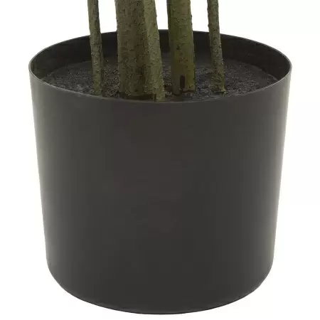 Самшит Балеарский искусственный 