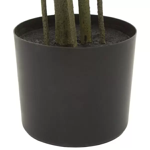 Самшит Балеарский искусственный 