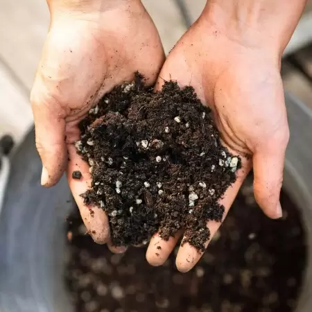 Субстрат Lechuza VEGGIEPON