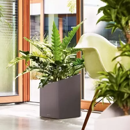 Кашпо Lechuza Cursivo