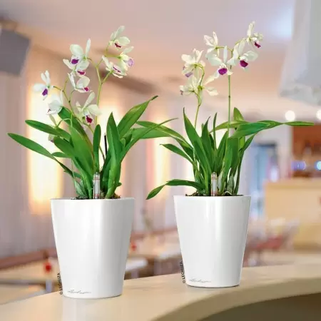 Кашпо Lechuza Deltini & MINI-Deltini