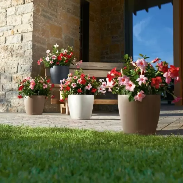 Кашпо Lechuza Classico Color