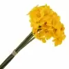 Нарциссы букет искусственный