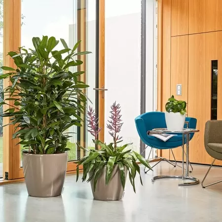 Кашпо Lechuza Classico LS