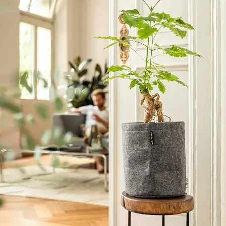 Кашпо Lechuza Trendcover