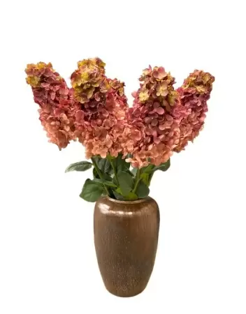 Гортензия метельчатая искусственная