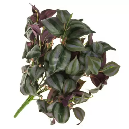 Традесканция искусственная