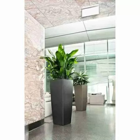 Фото Кашпо Lechuza Cubico Alto Кашпо Lechuza Cubico Alto