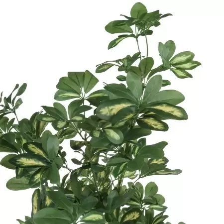 Искусственное дерево Шеффлера 