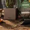 Субстрат Lechuza CACTUSPON