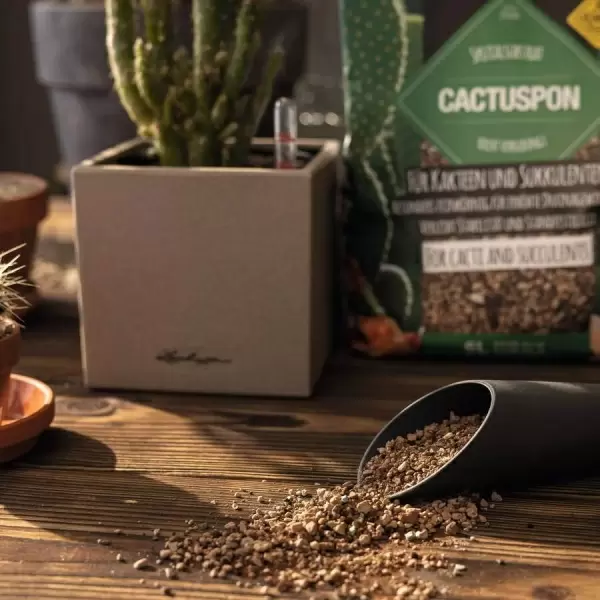 Субстрат Lechuza CACTUSPON