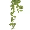 Фиттония ампельная искусственная Фиттония ампельная искусственная