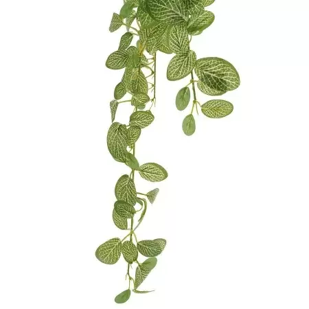 Фиттония ампельная искусственная Фиттония ампельная искусственная