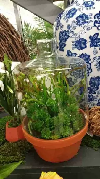 Горшок терракота Gofa
