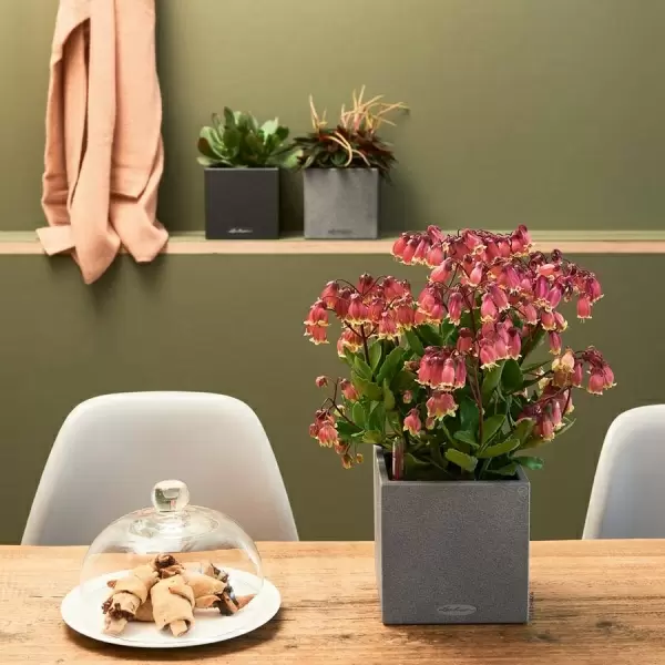 Кашпо Lechuza Canto Stone 14 Кашпо Lechuza Canto Stone 14