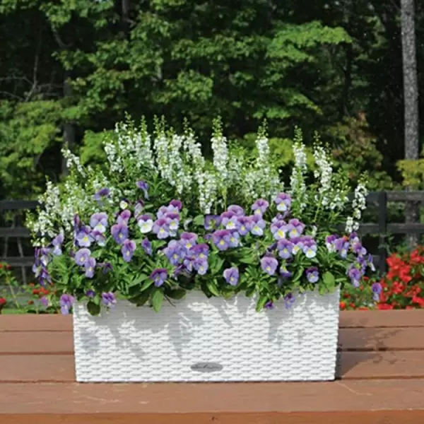 Кашпо Lechuza Balconera Cottage 50 Кашпо Lechuza Balconera Cottage 50