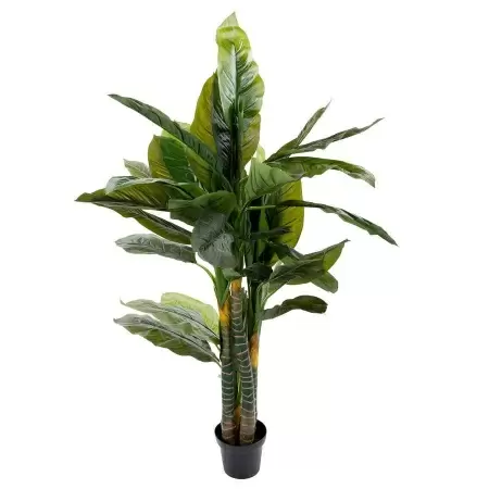 Спатифиллум искусственный