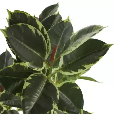 Фикус Робуста искусственный