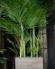 Пальма Арека искусственная Пальма Арека искусственная