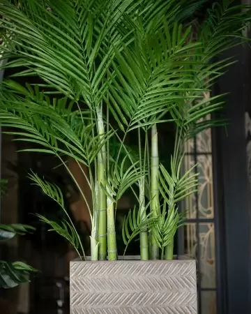 Пальма Арека искусственная Пальма Арека искусственная