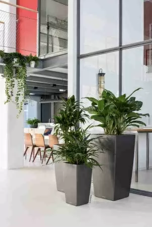 Кашпо Lechuza Cubico Premium Кашпо Lechuza Cubico Premium