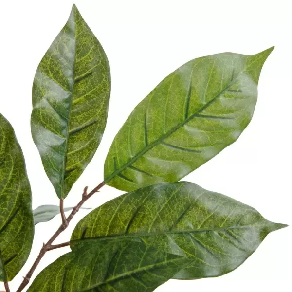 Дерево искусственное Кофе