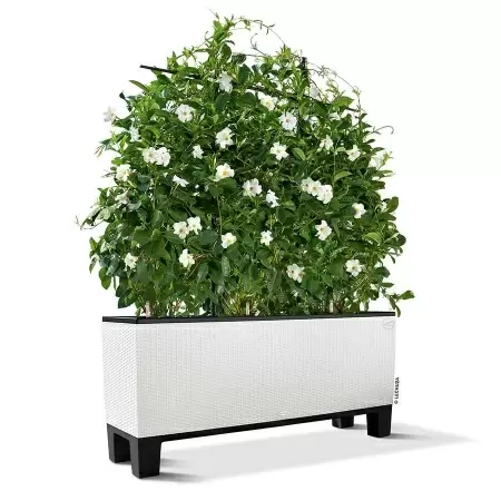 Кашпо Lechuza TRIO Cottage