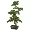 Дерево искусственное Бонсай