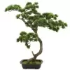Дерево искусственное Бонсай