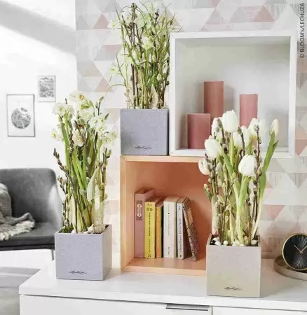 Кашпо Lechuza Canto Stone 14