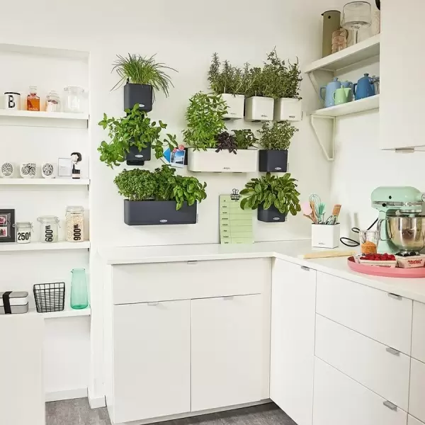Настенное кашпо Lechuza Green Wall Home Kit Color Настенное кашпо Lechuza Green Wall Home Kit Color