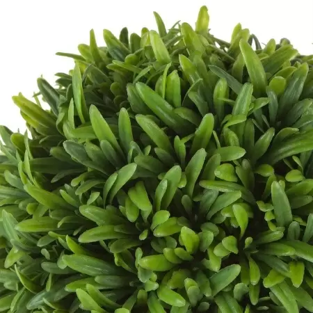 Самшит искусственный Шар в кашпо  Самшит искусственный Шар в кашпо