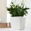 Кашпо Lechuza Quadro LS Кашпо Lechuza Quadro LS