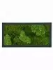 Панно из стабилизированного мха Moss painting Stiel RAL
