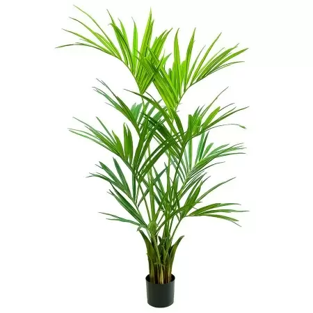 Пальма Кентия искусственная