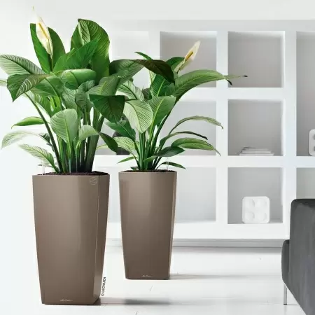 Кашпо Lechuza Cubico Premium