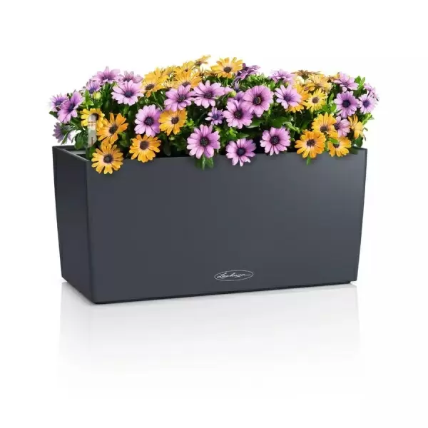 Кашпо Lechuza Balconera Color 40