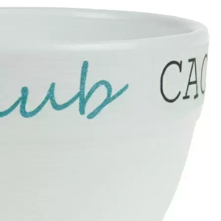 Кашпо White Cactus