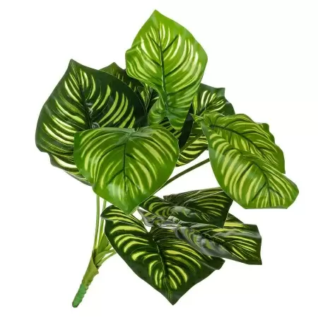 Диффенбахия искусственная