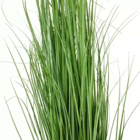 Речная искусственная трава 