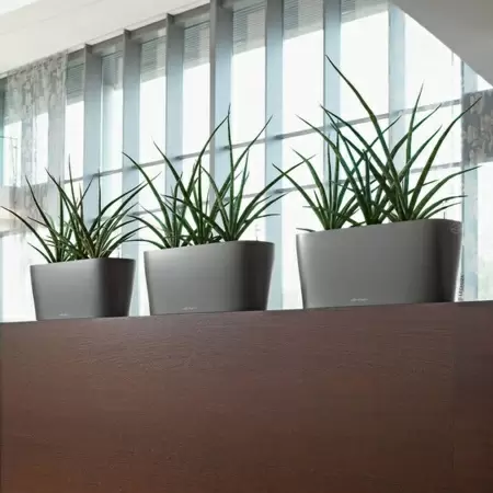 Кашпо Lechuza Delta 20