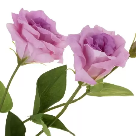 Лизиантус искусственный