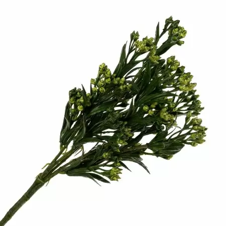 Гиперкиум искусственный Гиперкиум искусственный