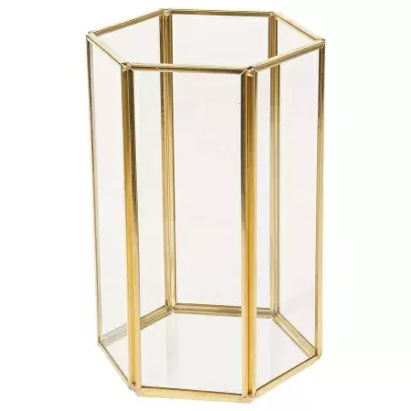 Флорариум стеклянный Франк