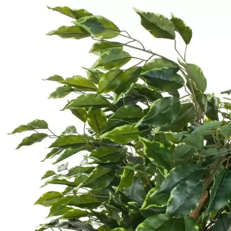 Фикус искусственный